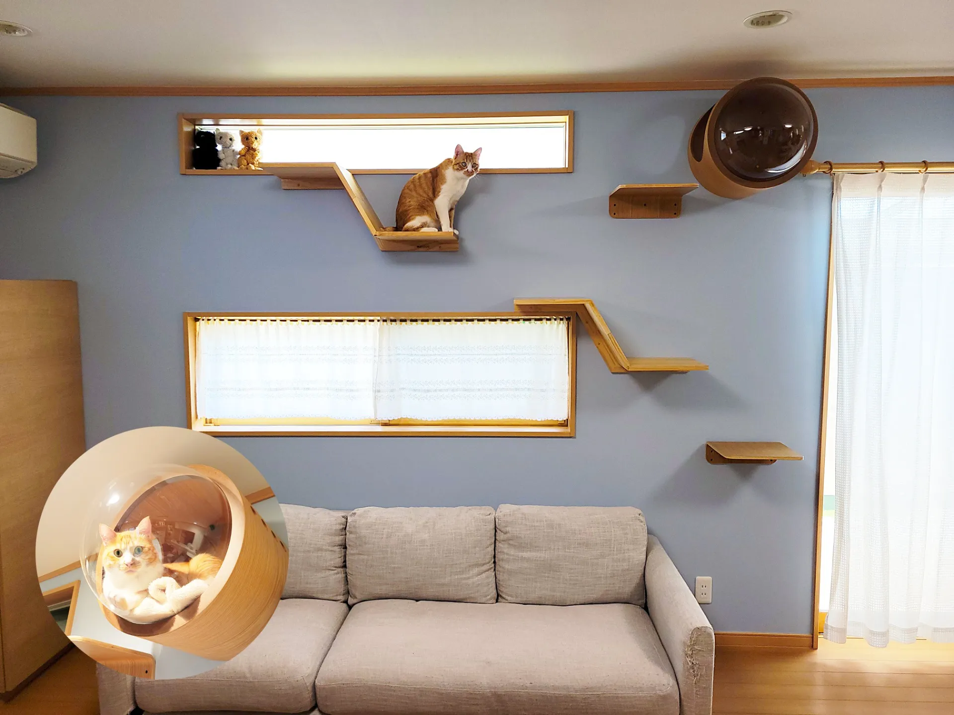 ペットとのくらし